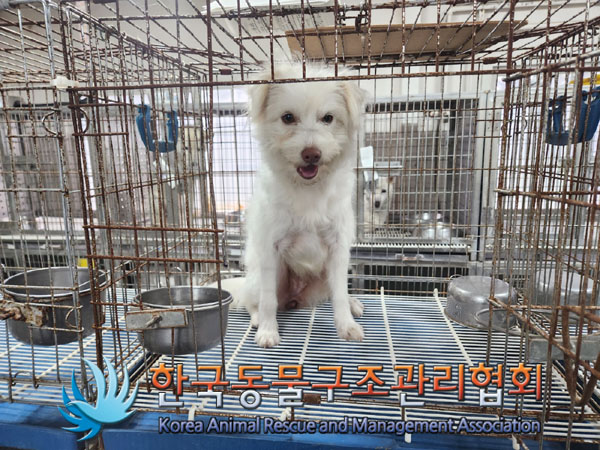 한국동물구조관리협회_441560202301340